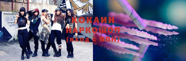 индика Переславль-Залесский